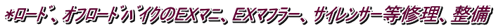 *ﾛｰﾄﾞ、ｵﾌﾛｰﾄﾞﾊﾞｲｸのEXﾏﾆ、EXﾏﾌﾗｰ、ｻｲﾚﾝｻｰ等修理、整備